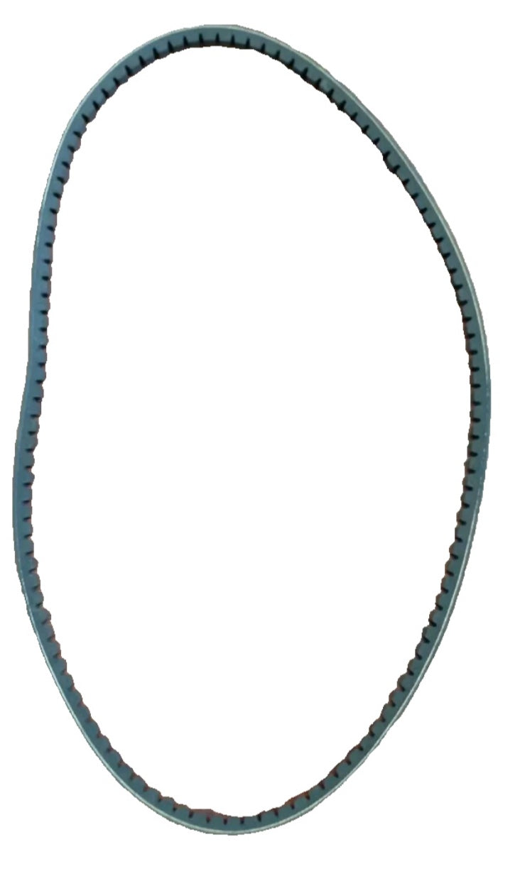 CINGHIA POMPA ACQUA DOLCE CAT 366-775