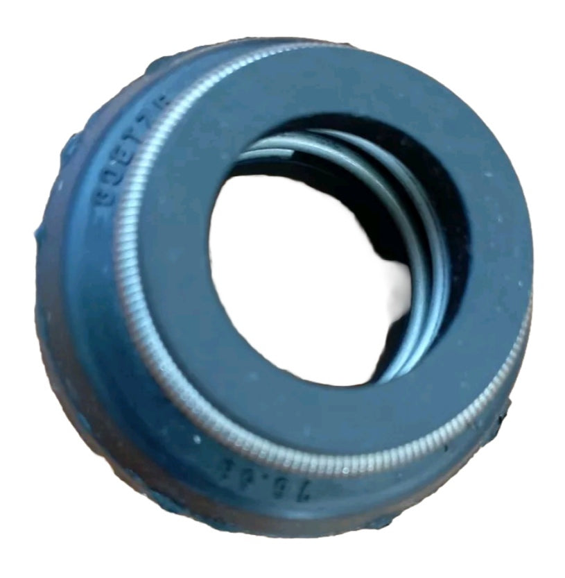 Tenute Meccaniche Marchio GOETZE 20/38/18 K