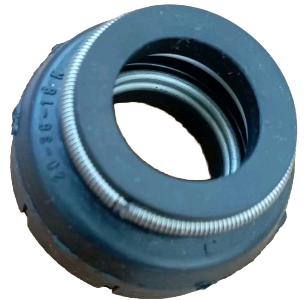 Tenute Meccaniche Marchio GOETZE 20/38/18 K