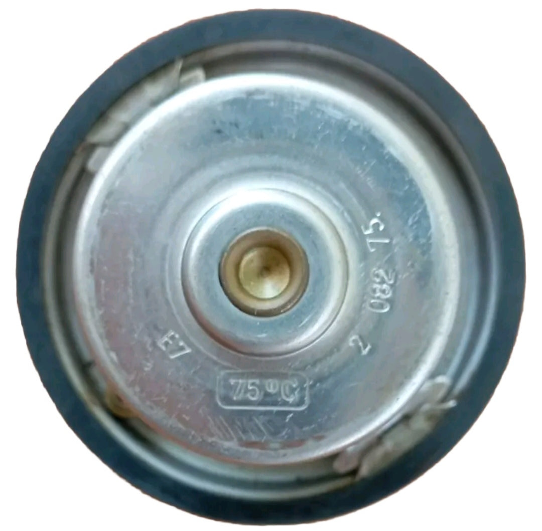 Valvola termostatica BEHR 75°