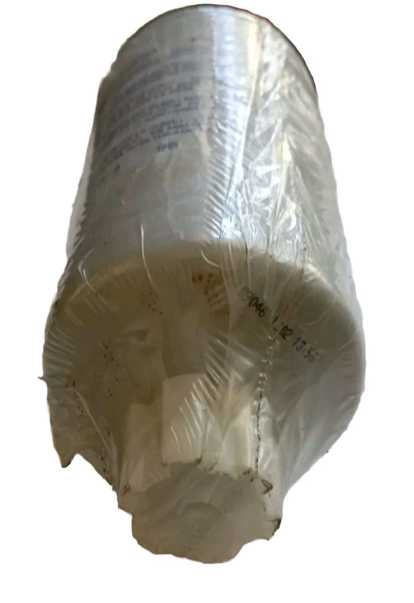 CARTUCCIA FILTRO COMBUSTIBILE FPT 504048025