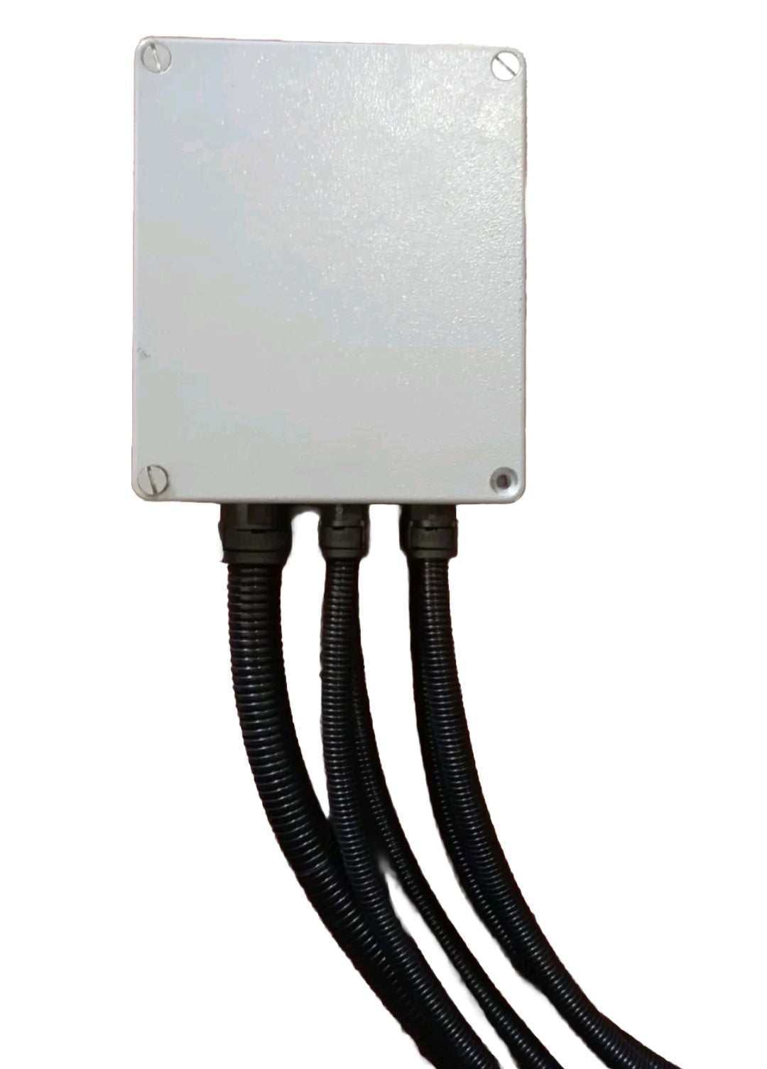 Cablaggio motore completo originale Isotta Fraschini serie 1300