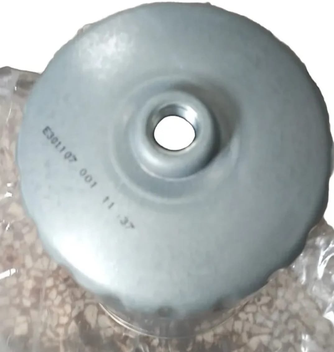 Filtro Gasolio FPT 2992300