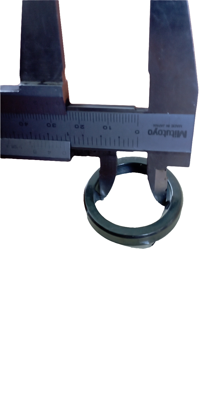 Paraolio per motori VM