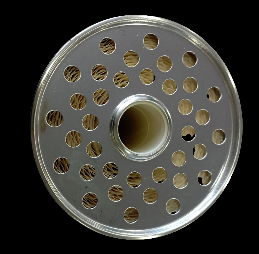 Cartuccia filtro gasolio GS 014L