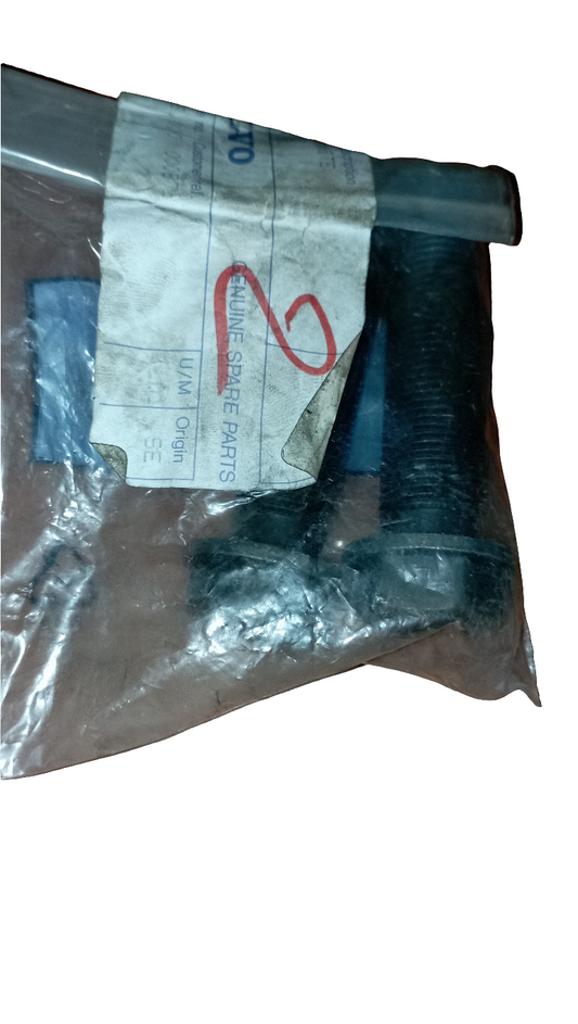 VITE DI BIELLA
Numero di riferimento OE Volvo : 1545479, 417464, 7417464