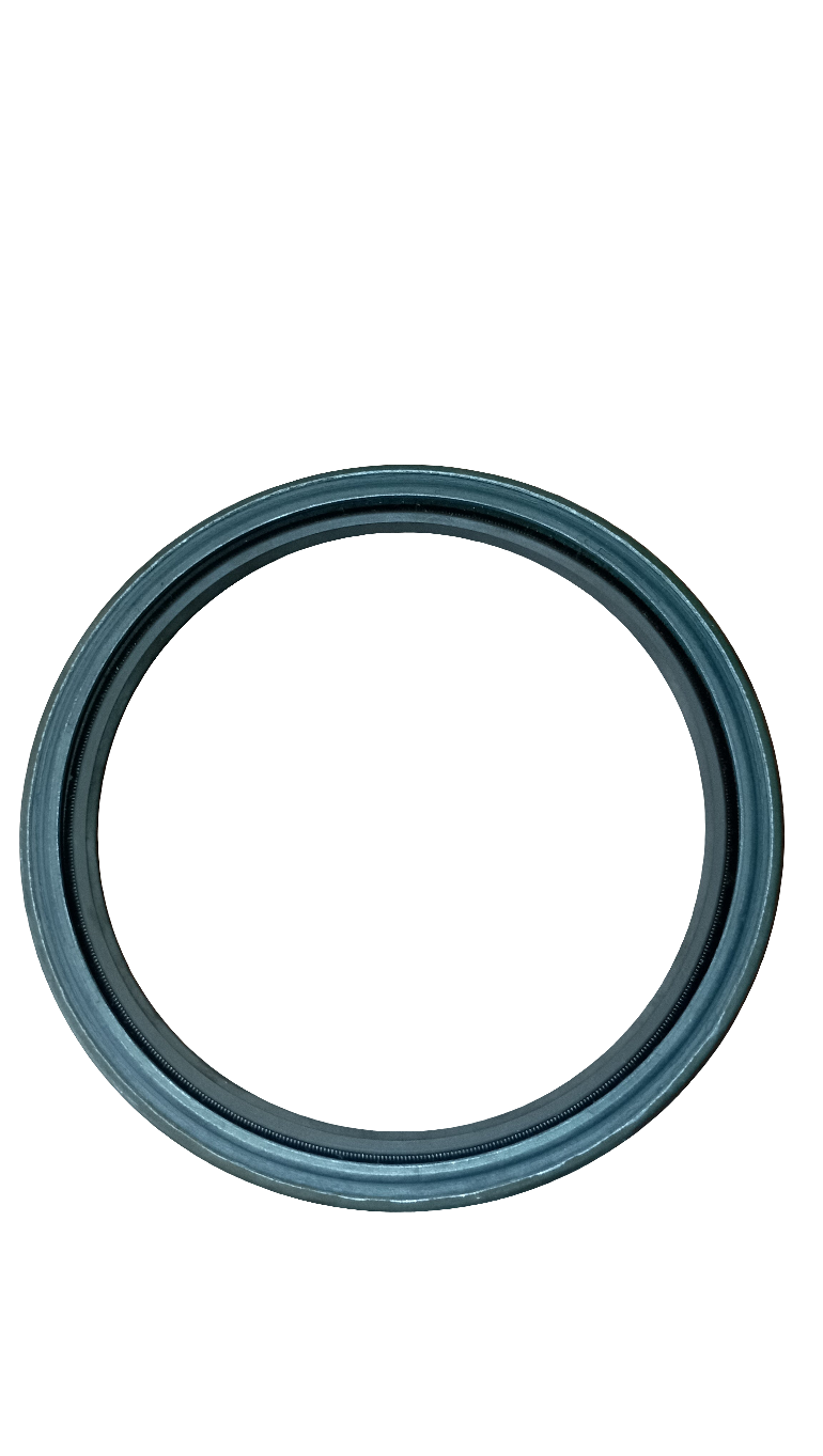 455134 PARAOLIO TWIN DISCH