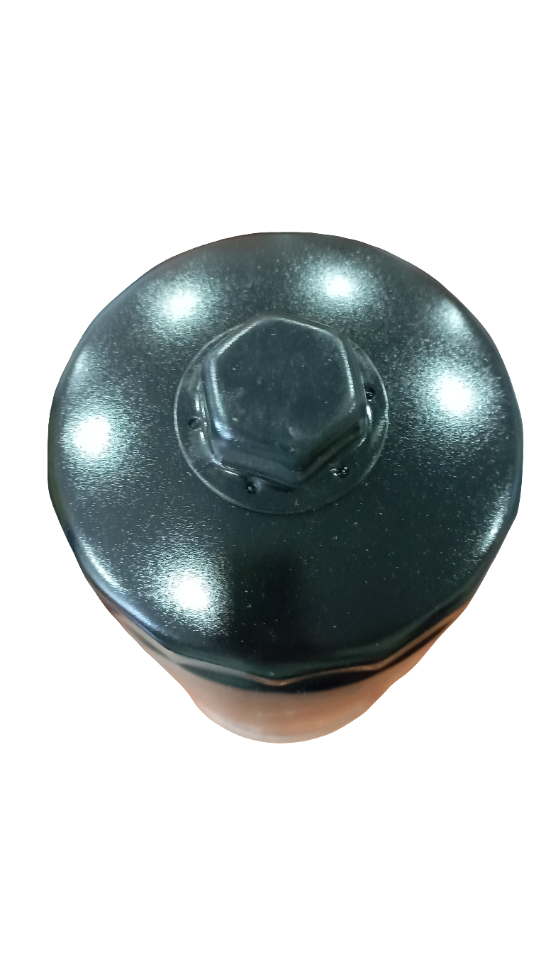 HENGST FILTER H 18 W01 Filtro olio