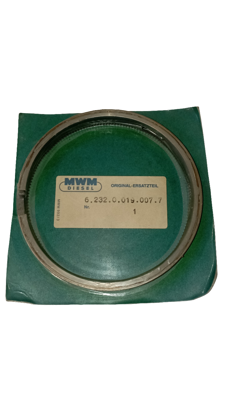 Set fasce elastiche MOTORE MWM 232