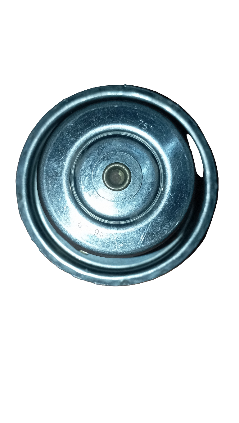 Valvola termostatica Iveco 75°