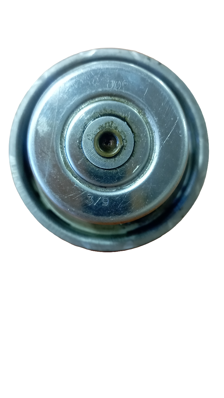 Valvola termostatica WAHLER 80°