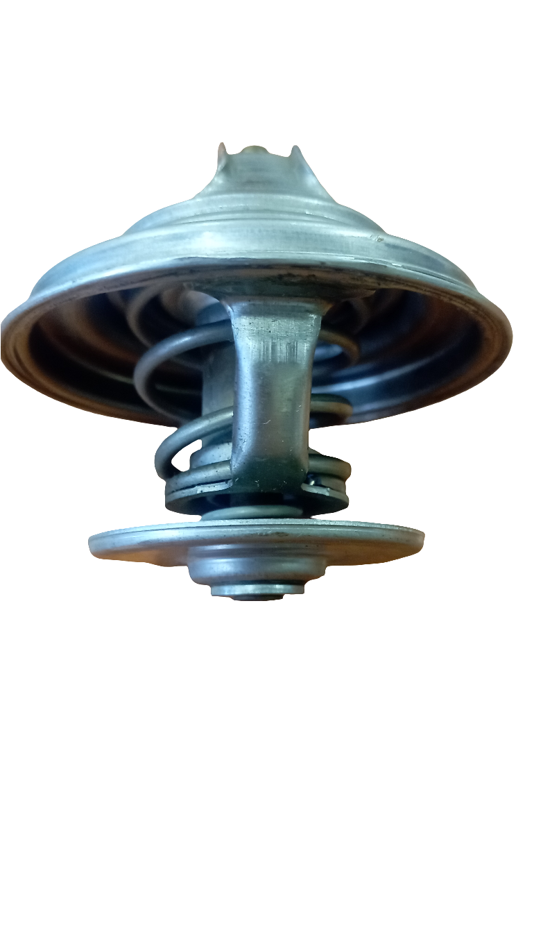 Valvola termostatica BEHR 79°