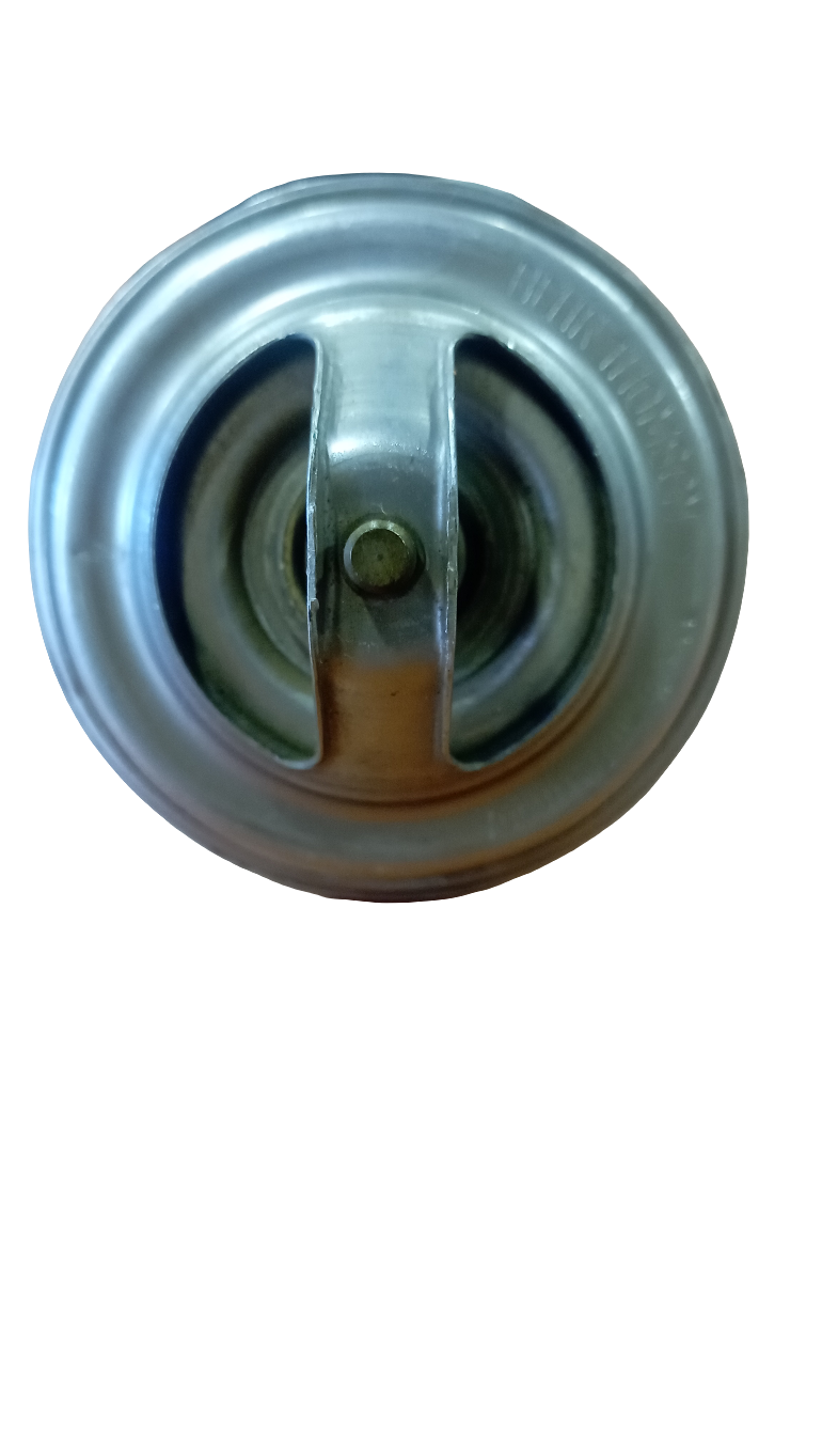 Valvola termostatica BEHR 79°