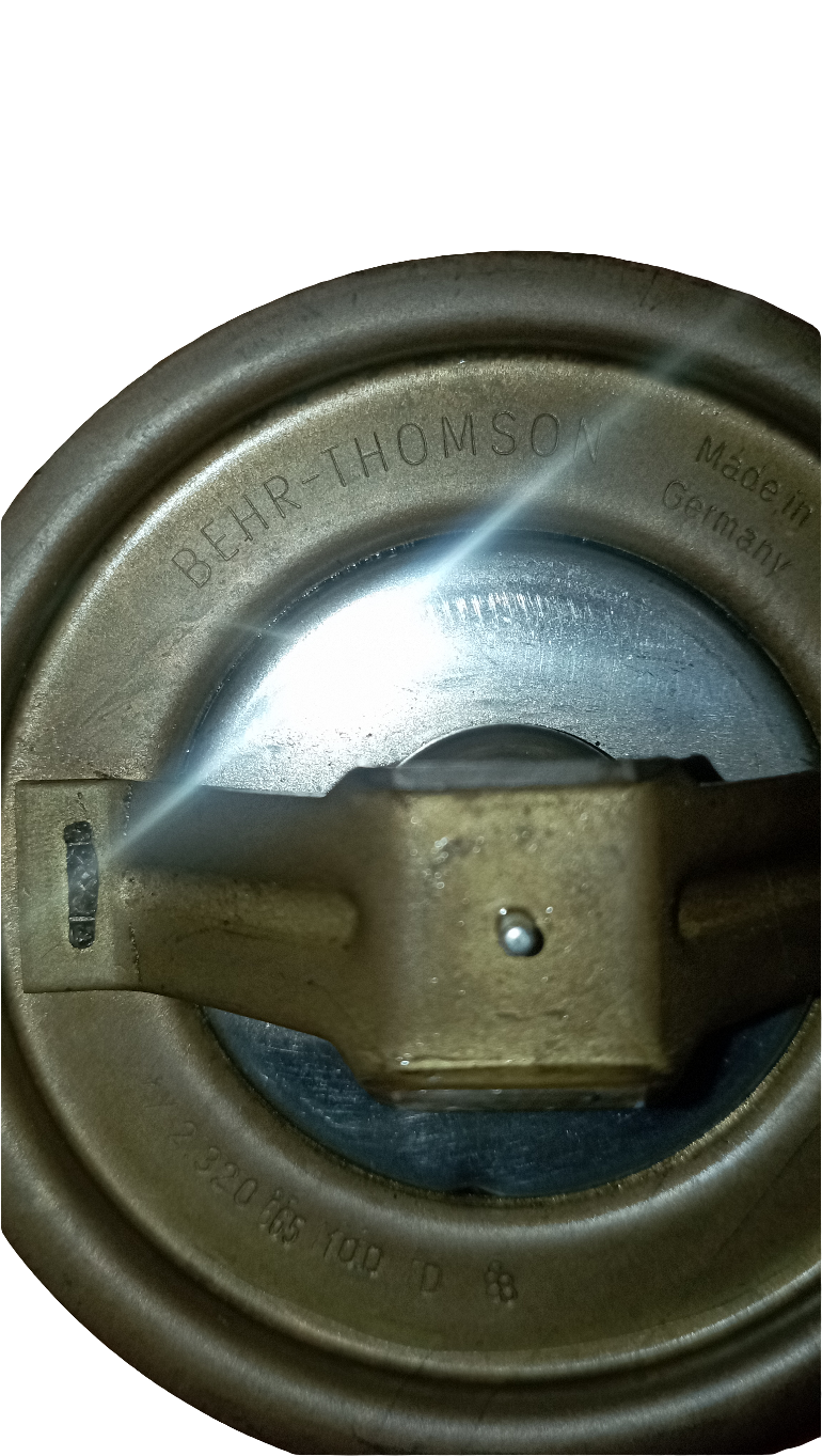 Valvola termostatica BEHR THOMSON 65°