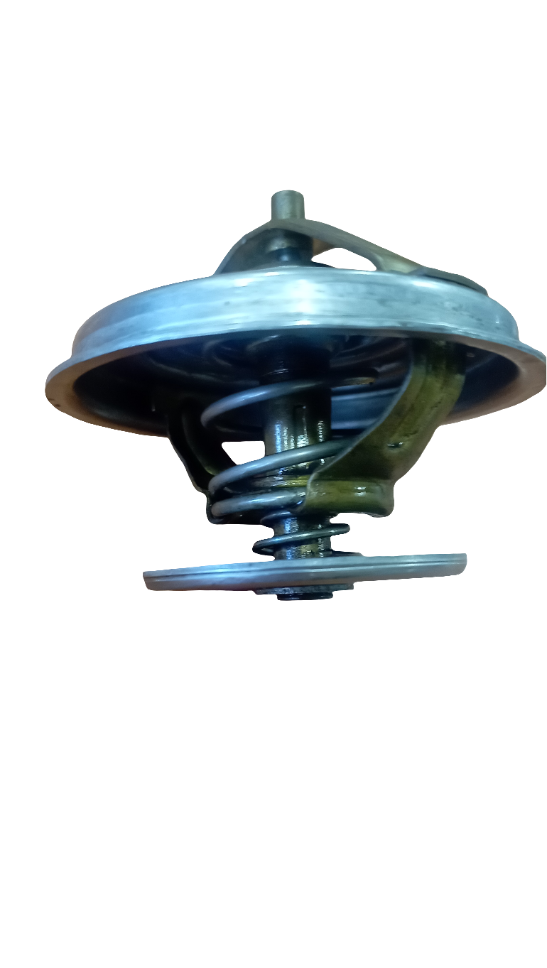 Valvola termostatica WAHLER 80°