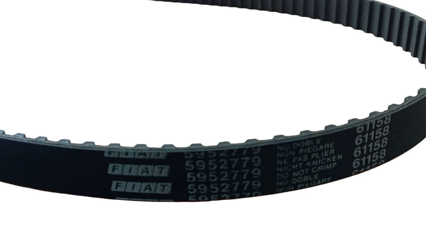 Cinghia dentata (o cinghia di distribuzione) codice ricambio 5952779, IVECO AIFO