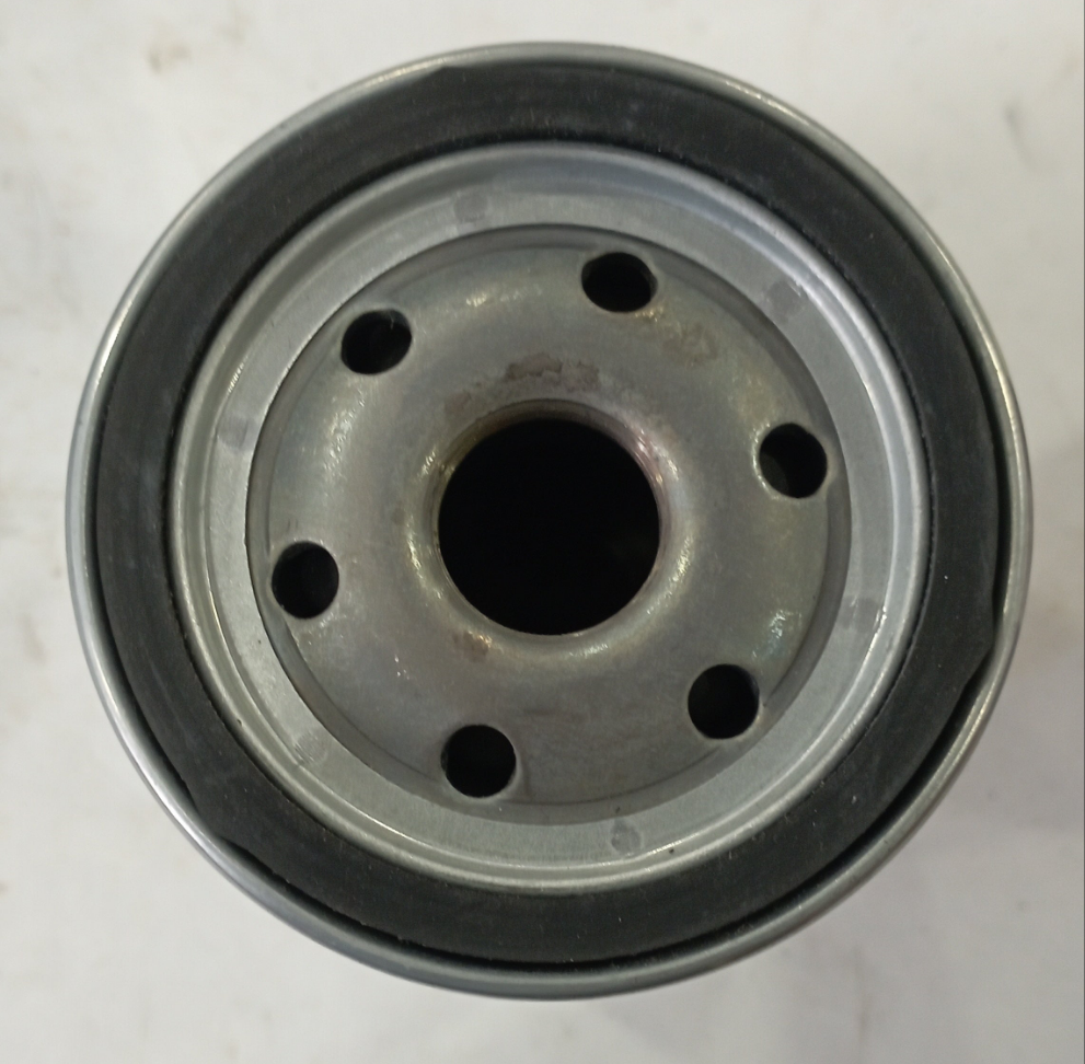 Filtro olio FIAAM – FT5148