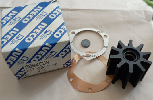 KIT girante pompa originale Iveco.  Codice 8094658