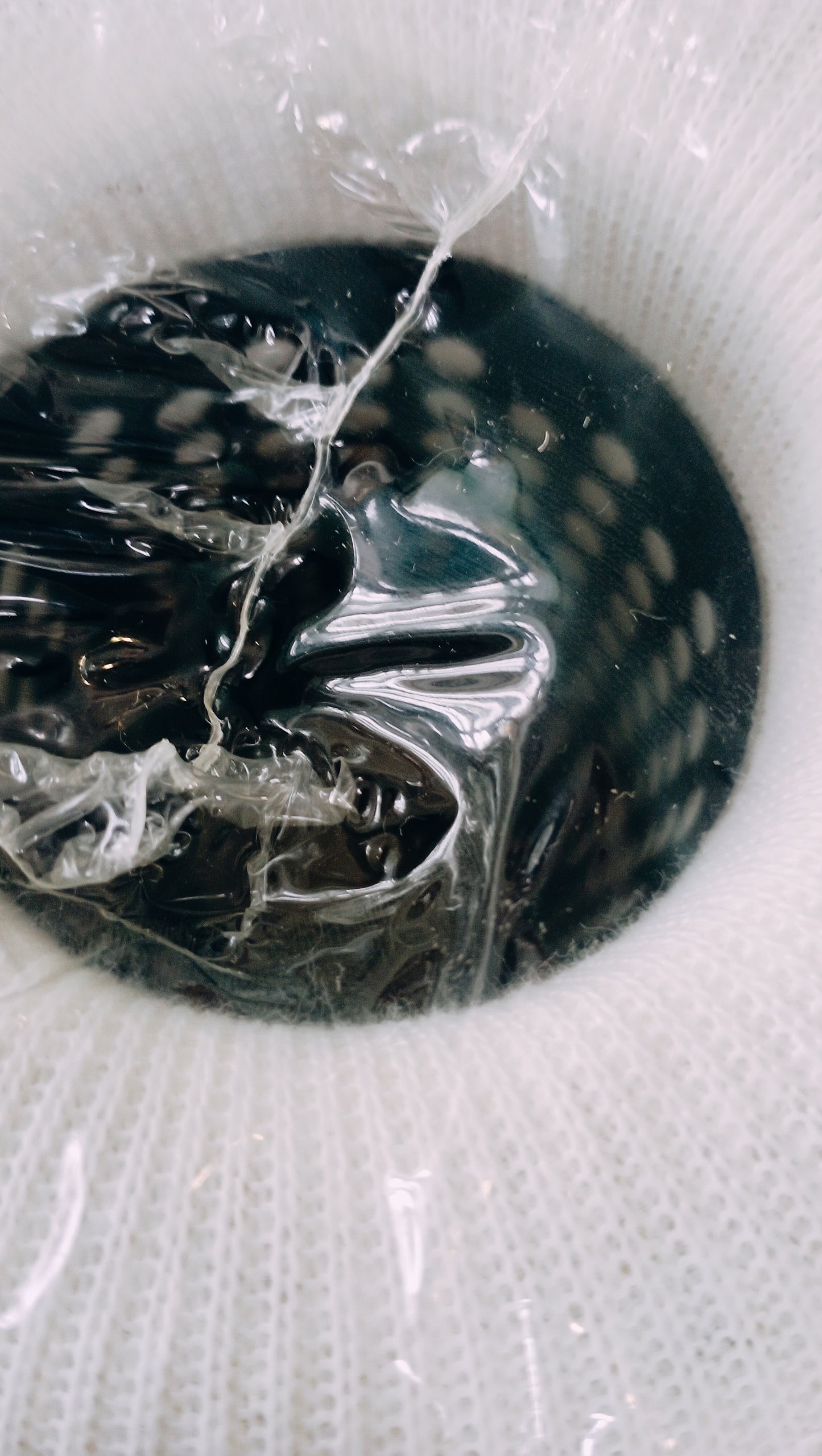 Filtro sfiato marchio Nelson/Winslow code 88468-A