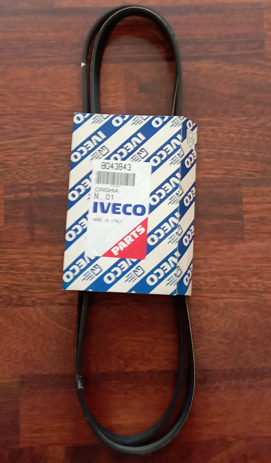 Cinghia pompa acqua Iveco code 8043843