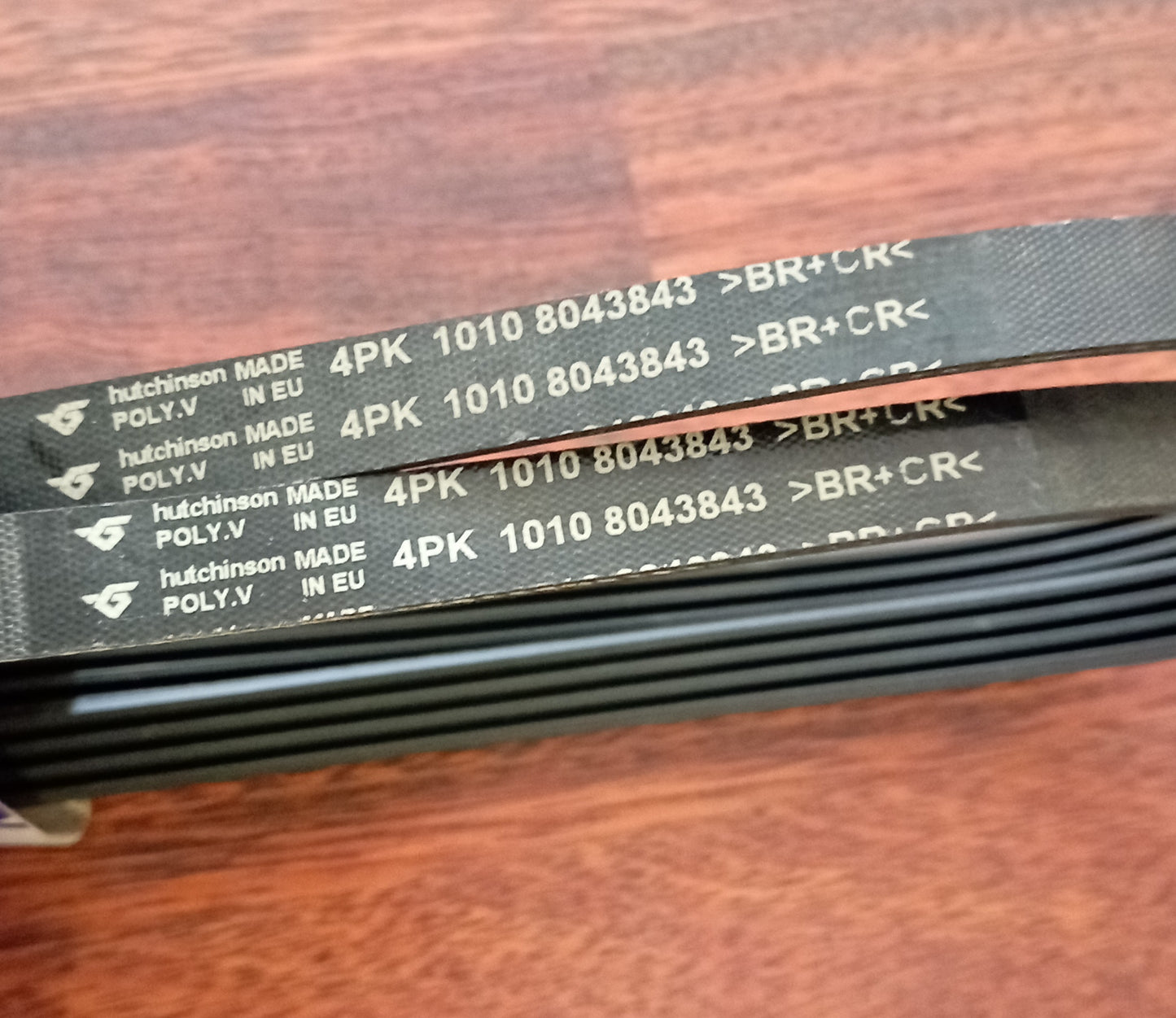 Cinghia pompa acqua Iveco code 8043843