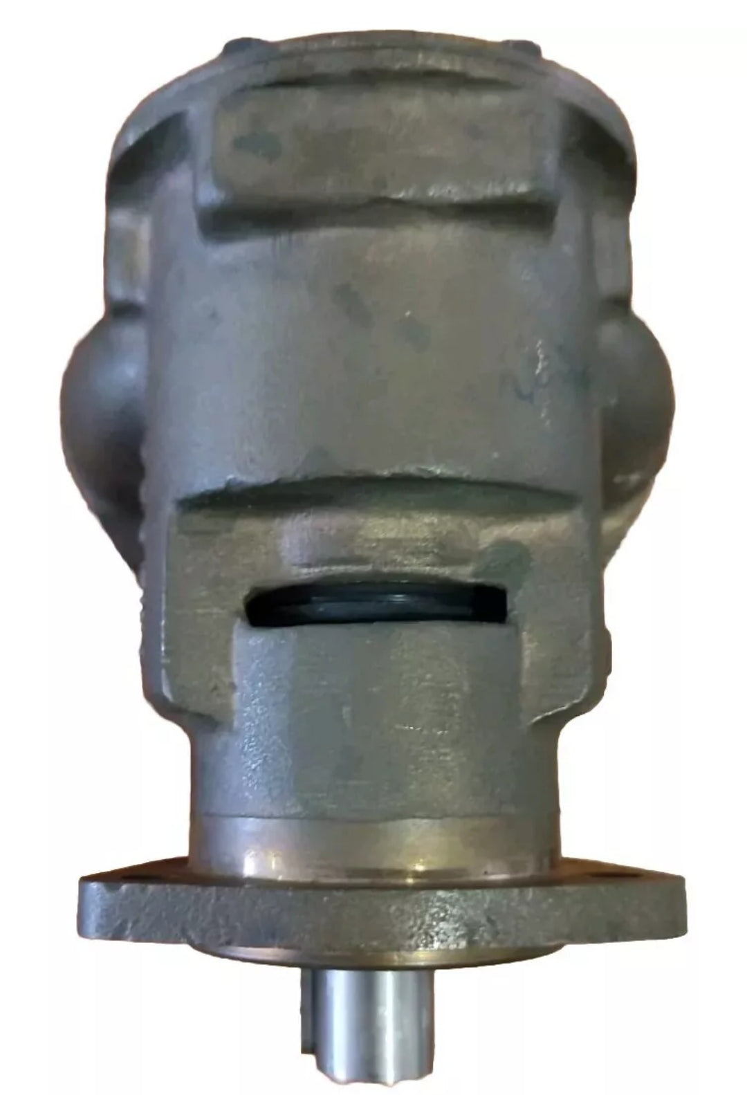 Pompa acqua mare Jabsco per Iveco, Perkins.