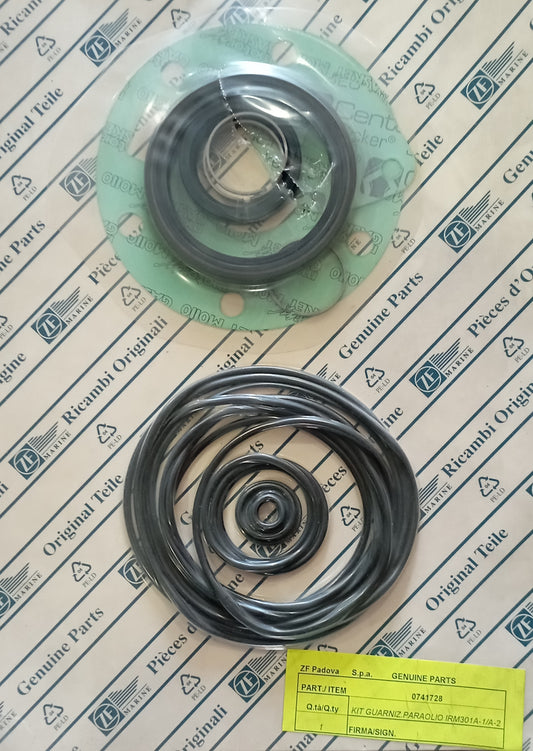 KIT guarnizioni, paraolio IRM301A-1/A-2