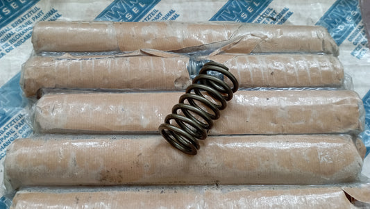 Molle per valvole testate motori MWM