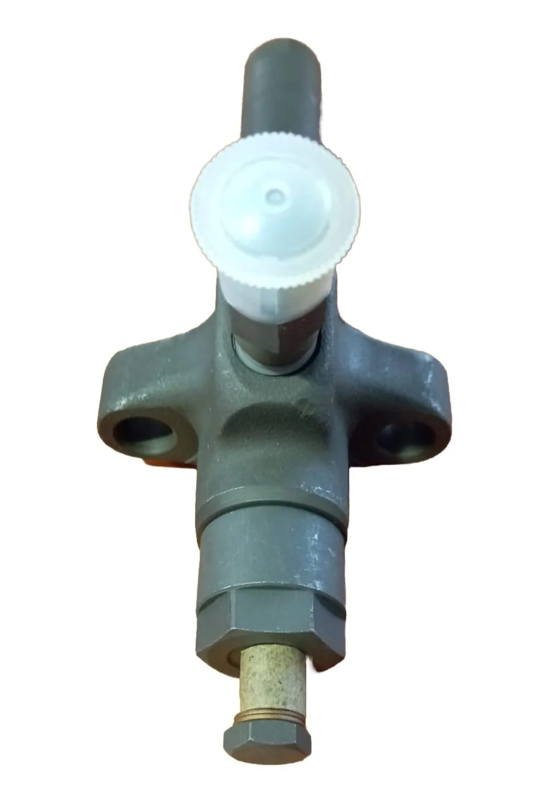 Polverizzatore completo per motori BOSCH 0 431 204 054-710