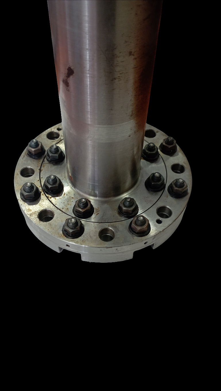 Geislinger Flexlink giunto di disallineamento