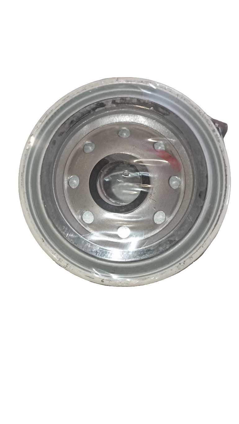 Filtro gasolio motori CUMMINS 3890017 3903410 3925274 3930942 3890063 FS1280 FSR81280 1125N-010 6CT ISC QSC8.3 Filtro separatore acqua carburante