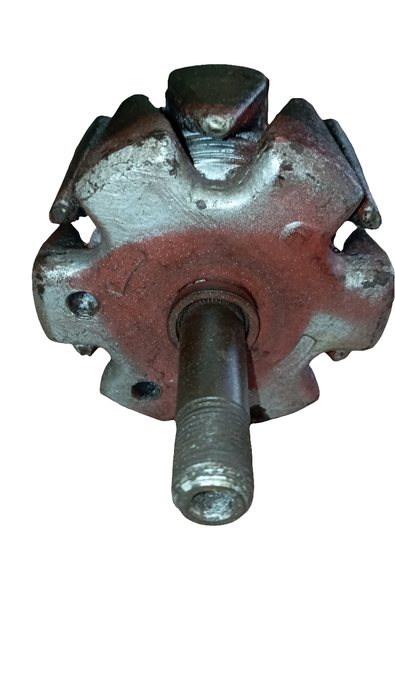 Corpo interno Dinamo 4