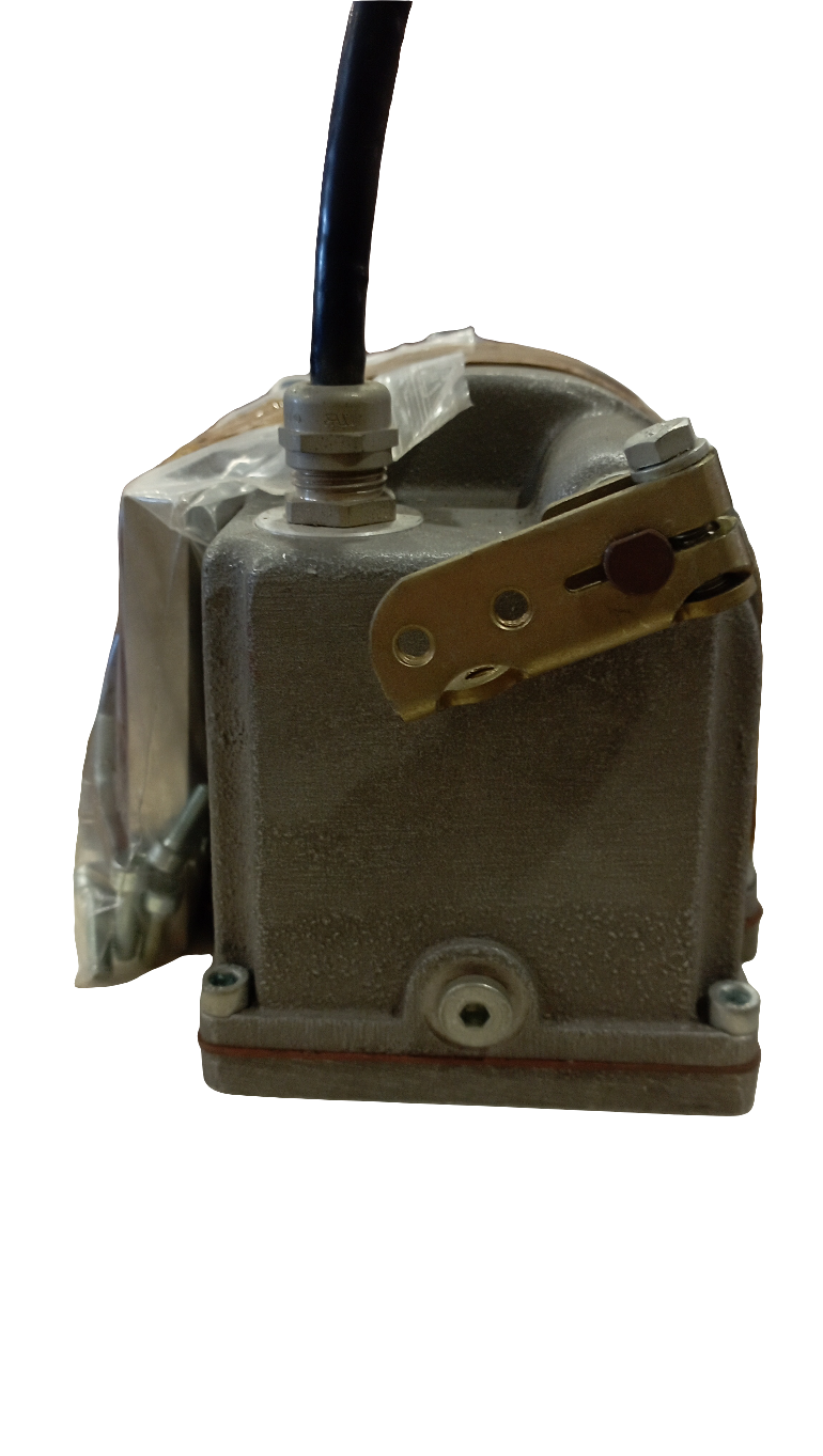 Regolatore Heinzmann STG 2040 DP PER MOTORI ISOTTA FRASCHINI SERIE 1300