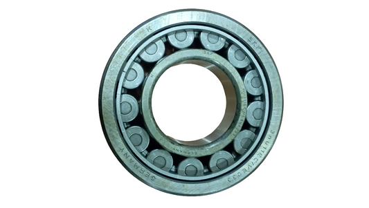 Cuscinetto SKF NU 311 ECJ/C3