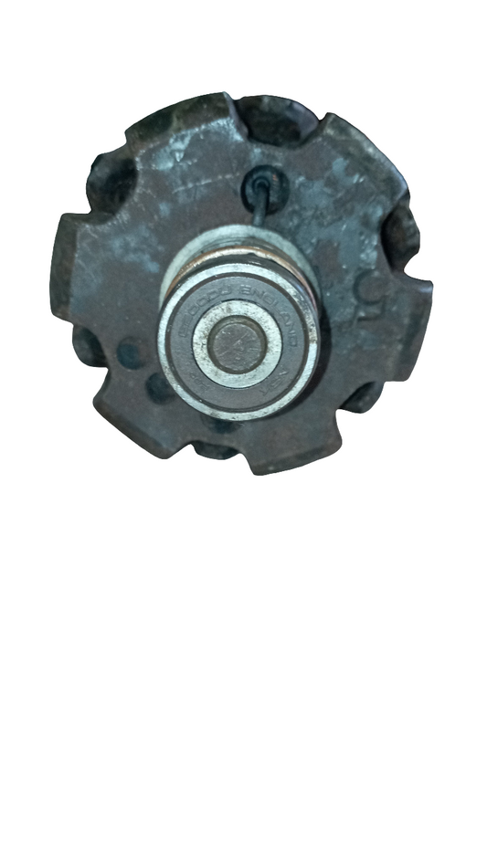 Corpo interno Dinamo 1