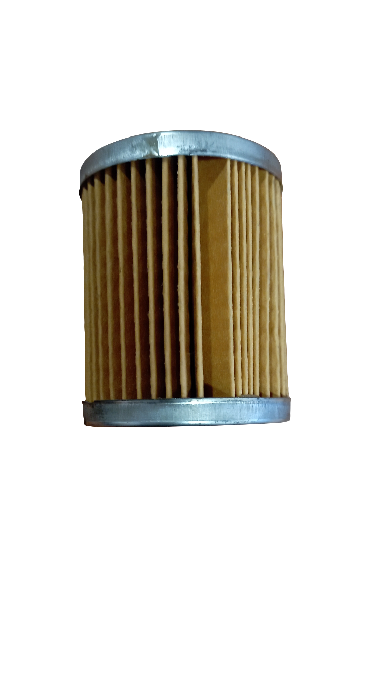 Cartuccia a immersione filtro gasolio motori Lombardini 2175.066