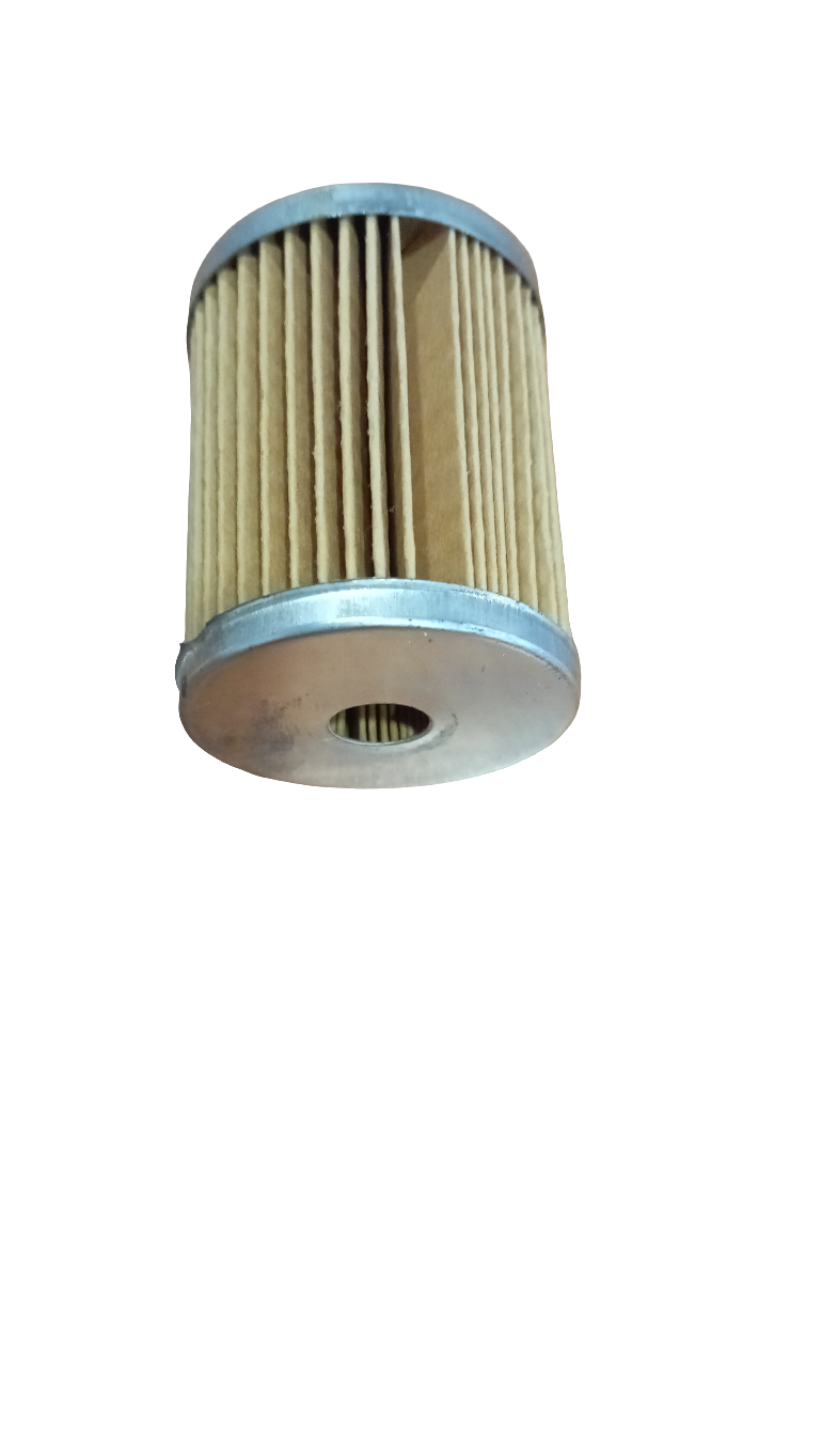 Cartuccia a immersione filtro gasolio motori Lombardini 2175.066