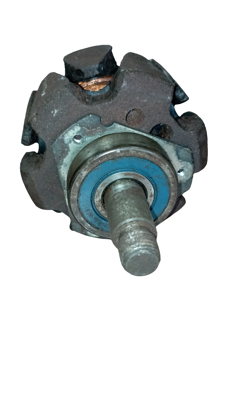 Corpo interno Dinamo 1