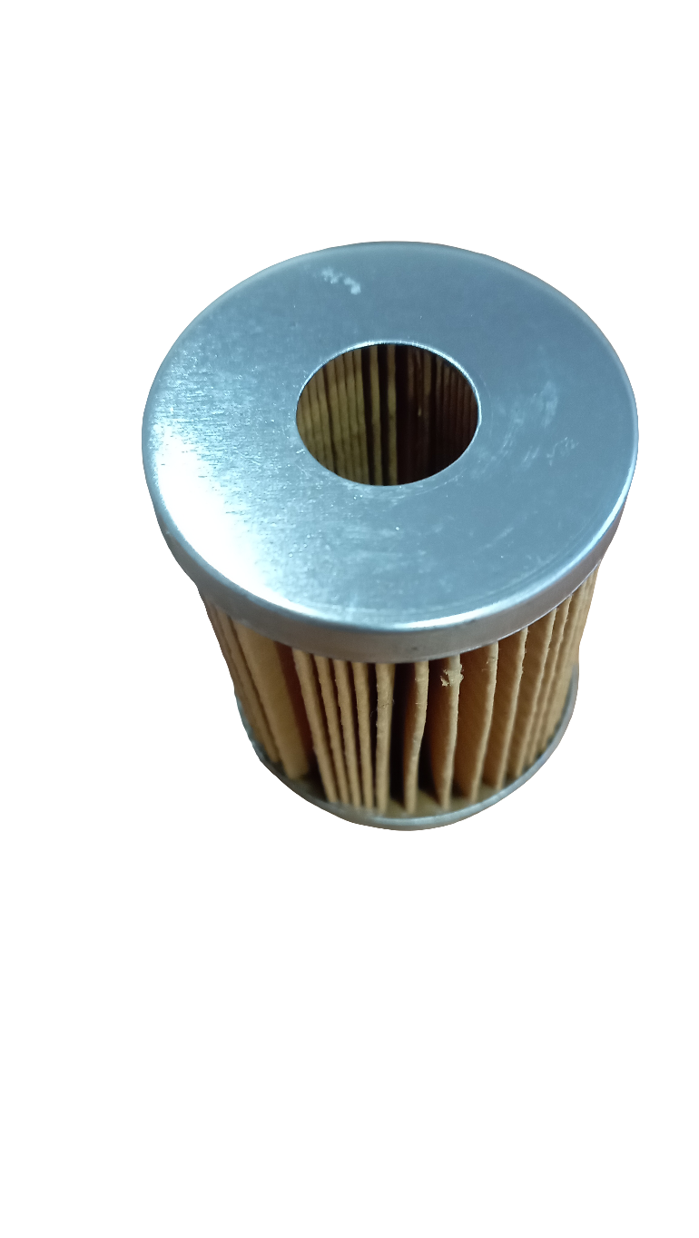 Cartuccia a immersione filtro gasolio motori Lombardini 2175.066