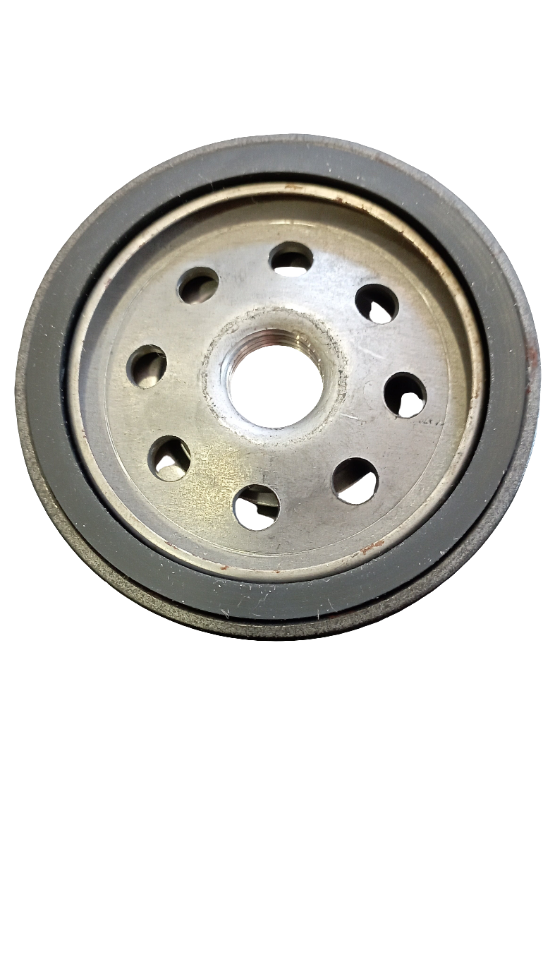 Filtro nafta motori RUGGERINI 175.28