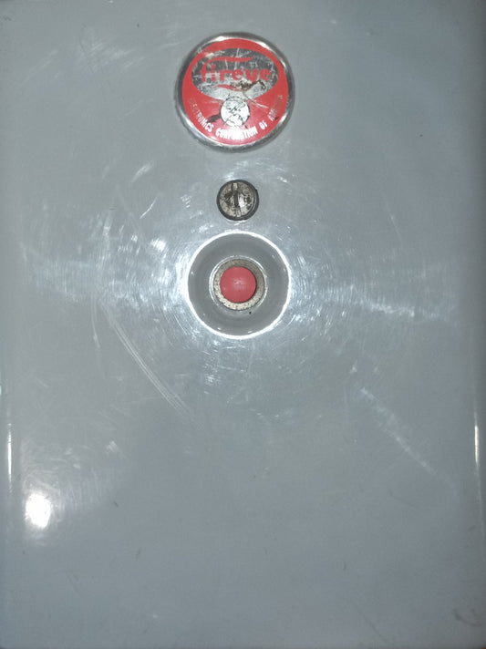 FIREYE Sistema Di Protezione Fiamma