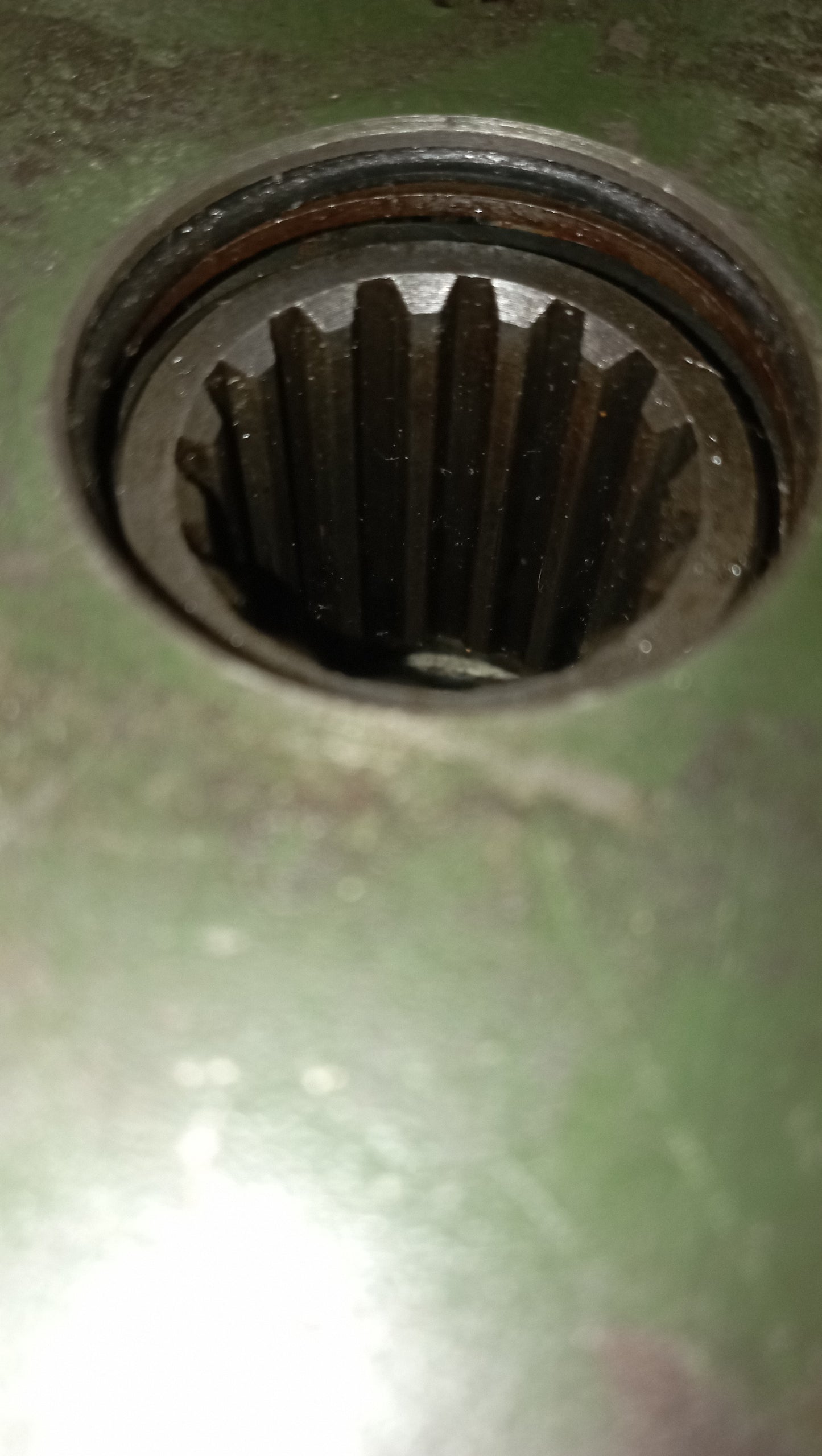 Pompa olio motori MWM