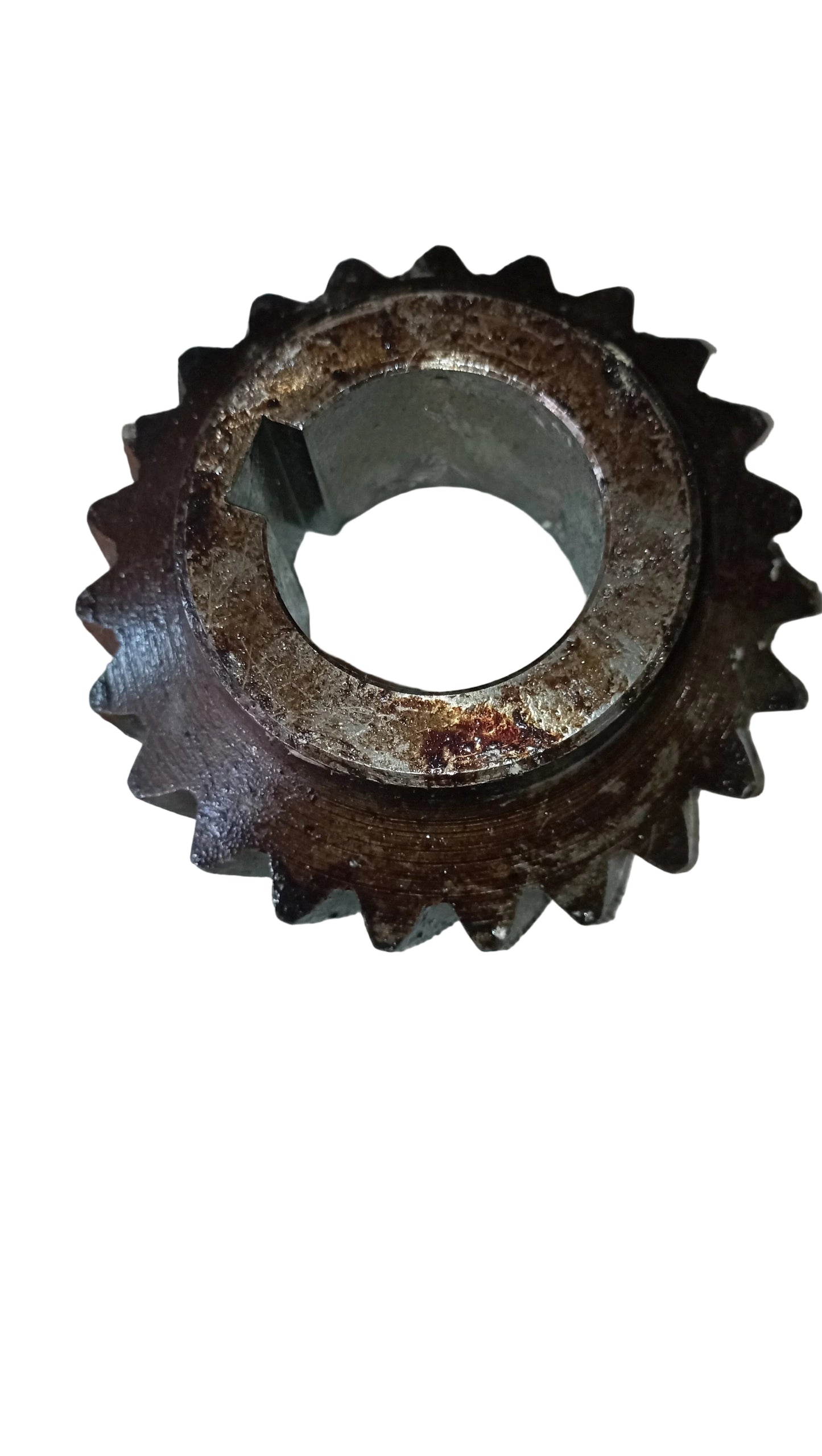 Pignone elicoidale motori Isotta Fraschini 23 denti