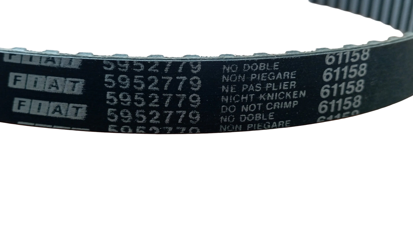 Cinghia dentata (o cinghia di distribuzione) codice ricambio 5952779, IVECO AIFO