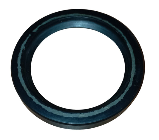 Paraolio Iveco