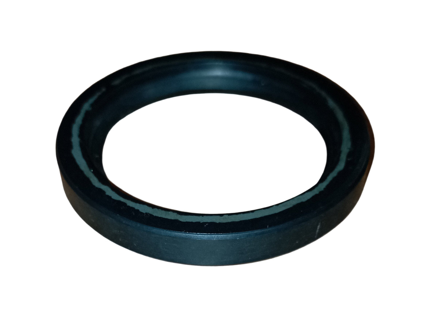 Paraolio Iveco