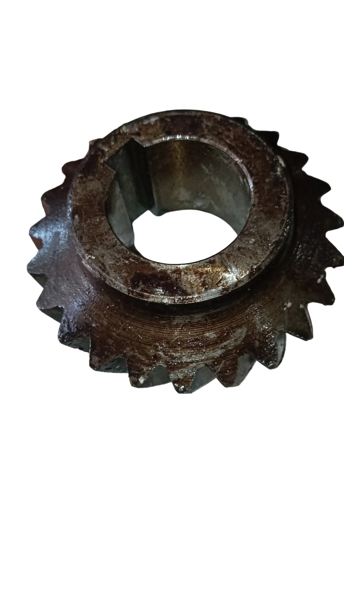 Pignone elicoidale motori Isotta Fraschini 23 denti